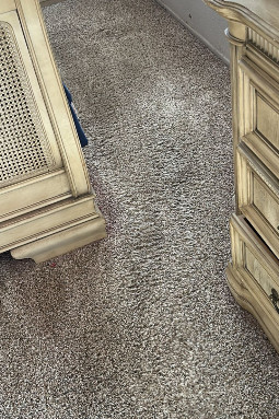 contact about carpet cleaning in falls church upholstery cleaning in falls church contact about carpet cleaning in falls church upholstery cleaning in falls church