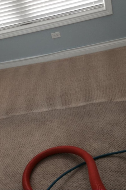 contact about carpet cleaning in falls church upholstery cleaning in falls church contact about carpet cleaning in falls church upholstery cleaning in falls church